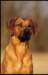photo100_small.jpg