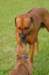 photo12_small.jpg