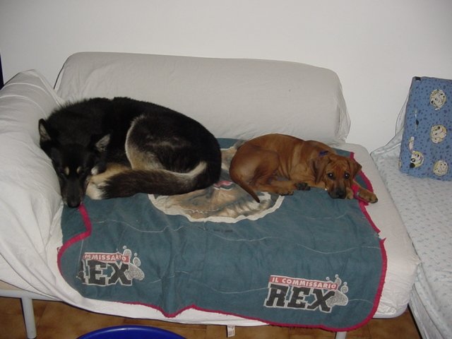 photo13.jpg