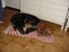 photo15_small.jpg