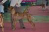 photo25_small.jpg