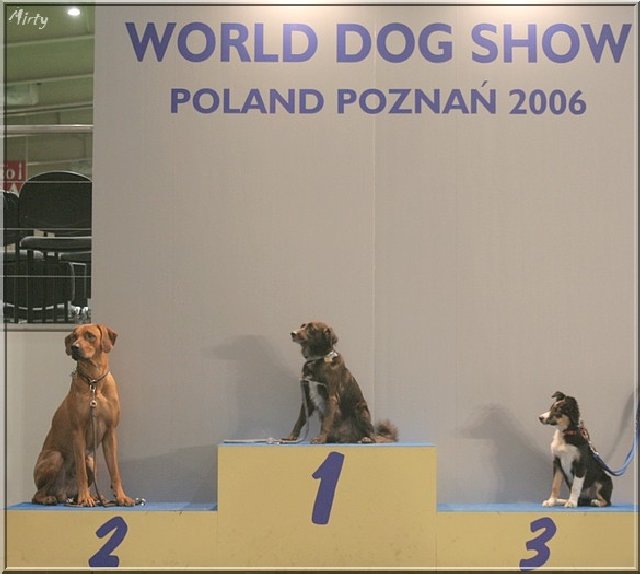 photo30.jpg