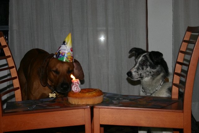 photo36.jpg