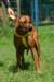 photo40_small.jpg