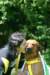 photo44_small.jpg