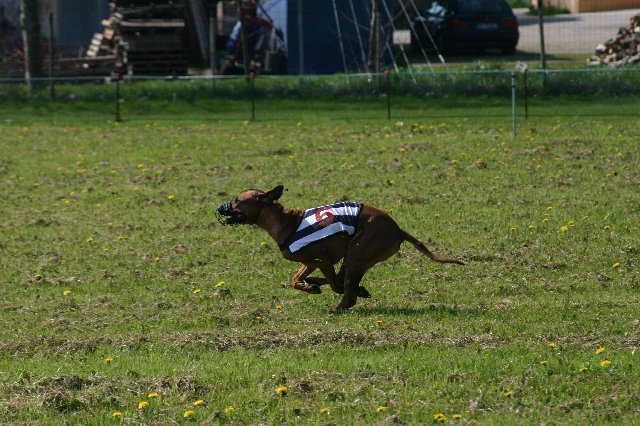 photo47.jpg