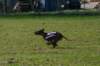 photo47_small.jpg