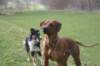 photo48_small.jpg