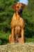 photo69_small.jpg