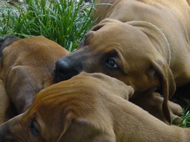 photo9.jpg