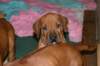 img_7451_small.jpg