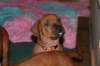 img_7452_small.jpg