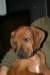 img_7479_small.jpg