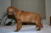 img_7486_small.jpg