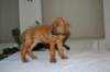img_7501_small.jpg