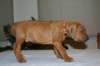 img_7513_small.jpg