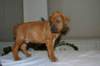img_7524_small.jpg