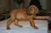 img_7547_small.jpg