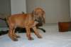 img_7562_small.jpg