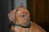 img_7567_small.jpg