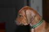 img_7568_small.jpg