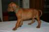 img_7569_small.jpg