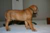 img_7581_small.jpg