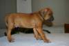 img_7582_small.jpg