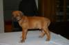 img_7589_small.jpg