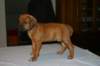 img_7590_small.jpg