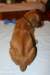 img_7591_small.jpg