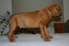 img_7595_small.jpg