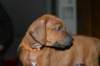img_7598_small.jpg