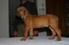 img_7604_small.jpg
