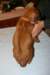 img_7606_small.jpg