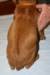 img_7608_small.jpg
