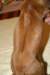 img_7624_small.jpg