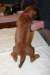 img_7638_small.jpg