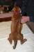 img_7640_small.jpg
