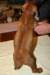 img_7650_small.jpg