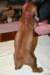 img_7651_small.jpg