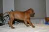 img_7653_small.jpg