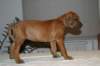 img_7654_small.jpg