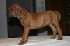 img_7659_small.jpg
