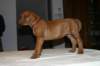 img_7660_small.jpg
