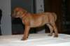 img_7661_small.jpg
