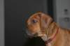 img_7667_small.jpg