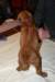 img_7668_small.jpg