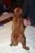 img_7669_small.jpg