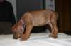 img_7674_small.jpg